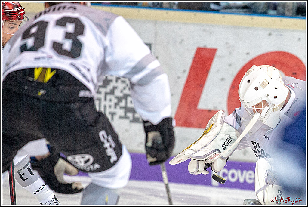 DEL; Iserlohn Roosters - Koelner Haie, 27.01.2019